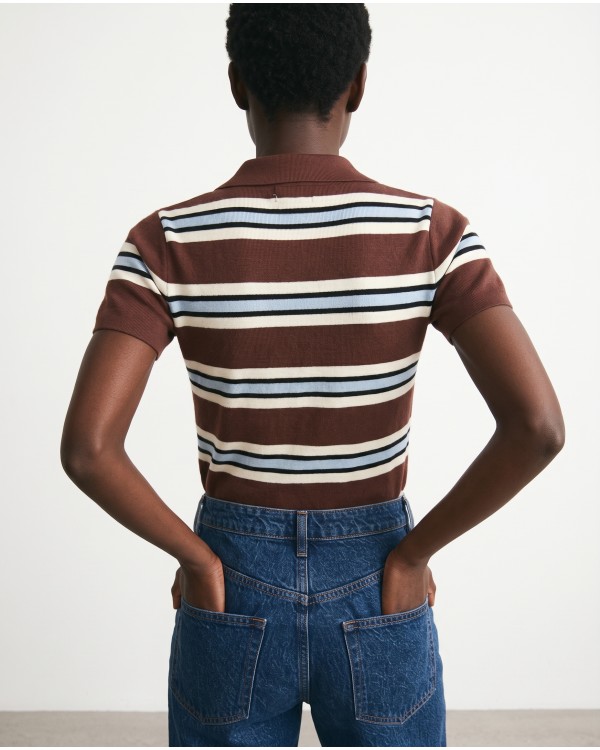 Striped Knit Polo Top - Brown & Light Blue