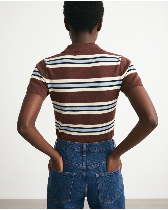 Striped Knit Polo Top - Brown & Light Blue