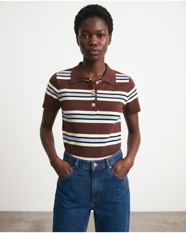Striped Knit Polo Top - Brown & Light Blue
