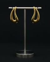 Gold Drop Curve Earrings